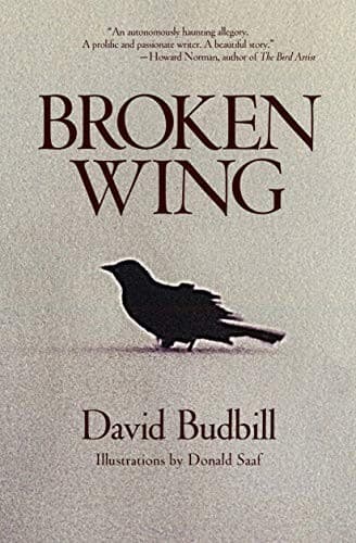 Tapa de Broken Wing