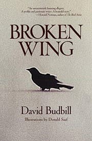 Tapa de Broken Wing