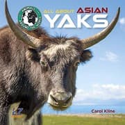 Tapa de All About Asian Yaks