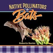 Tapa de Bats