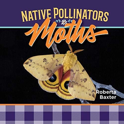 Tapa de Moths