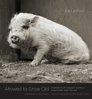 Tapa de Allowed to Grow Old