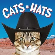 Tapa de Cats in Hats