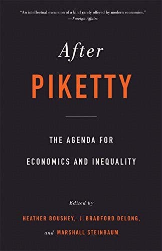 Tapa de After Piketty