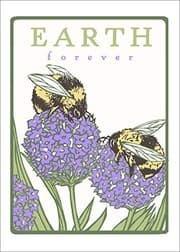 Tapa de Bumblebees : Earth Forever