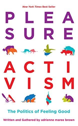Tapa de Pleasure Activism