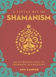 Tapa de A Little Bit of Shamanism