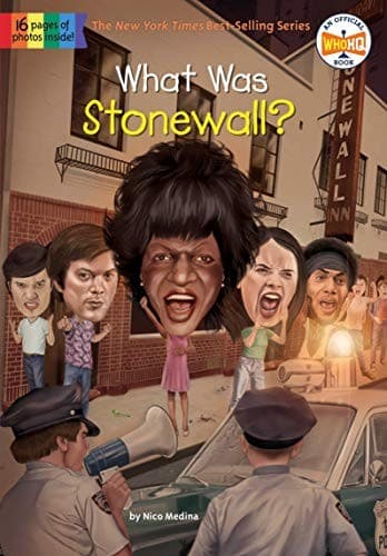 Tapa de What Was Stonewall?