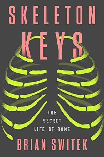 Tapa de Skeleton Keys