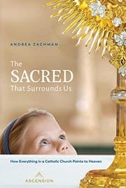 Tapa de The Sacred That Surrounds Us