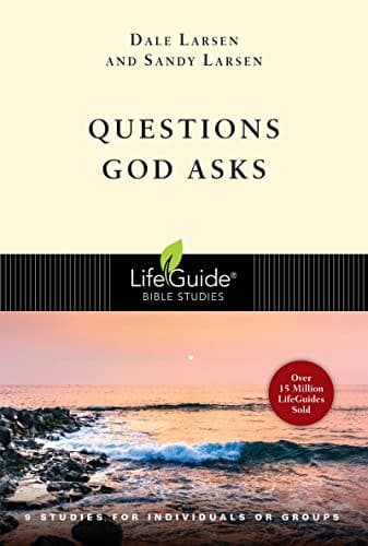 Tapa de Questions God Asks
