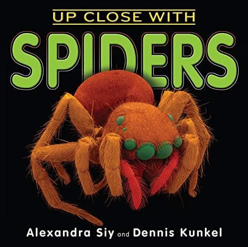 Tapa de Up Close With Spiders