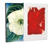 Tapa de Georgia O'Keeffe : One Hundred Flowers