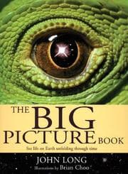 Tapa de The big picture book