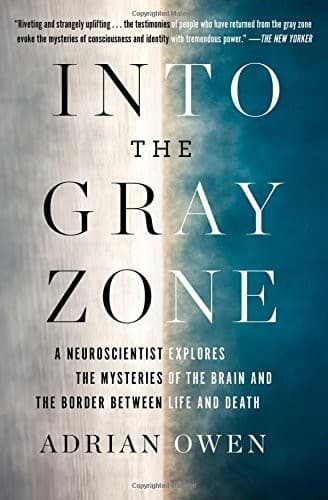 Tapa de Into the Gray Zone