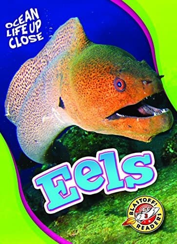 Tapa de Eels
