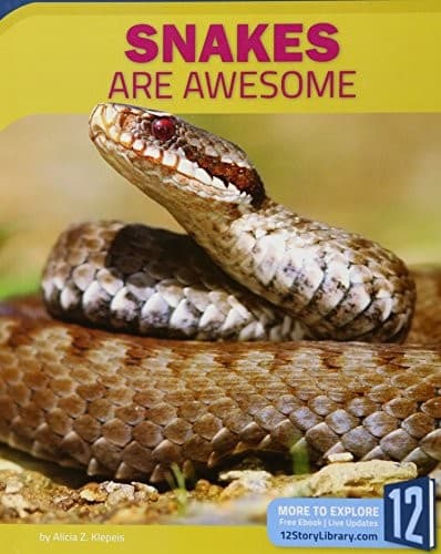 Tapa de Snakes Are Awesome