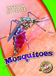 Tapa de Mosquitoes