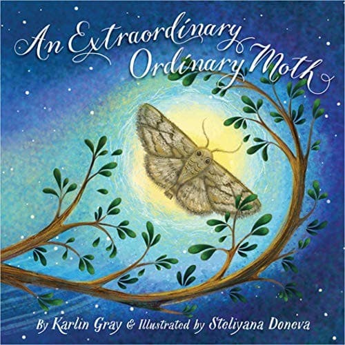 Tapa de An Extraordinary Ordinary Moth