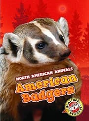 Tapa de American Badgers