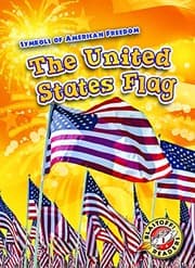 Tapa de The United States Flag