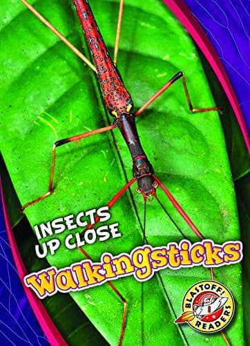 Tapa de Walkingsticks