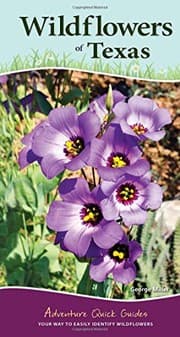 Tapa de Wildflowers of Texas