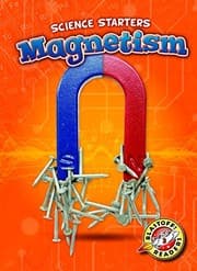 Tapa de Magnetism