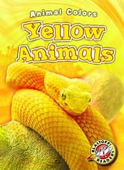 Tapa de Yellow Animals