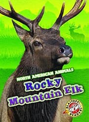 Tapa de Rocky Mountain Elk