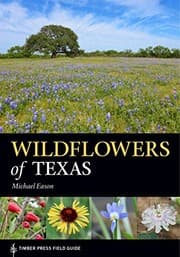 Tapa de Wildflowers of Texas