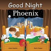 Tapa de Good Night Phoenix
