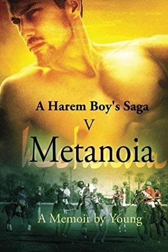 Tapa de Metanoia
