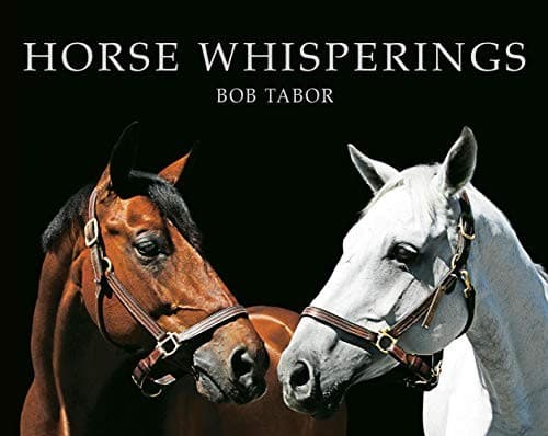 Tapa de Horse Whisperings