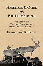 Tapa de Handbook and Guide to the British Mammals on Exhibition in the Lord Derby Natural History Museum, Liverpool - Illustrated by Six Plates