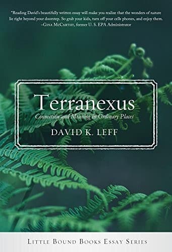 Tapa de Terranexus