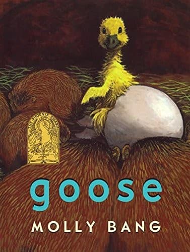 Tapa de Goose