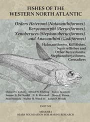 Tapa de Orders Heteromi , Berycomorphi , Xenoberyces , Anacanthini