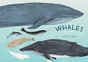 Tapa de Whales