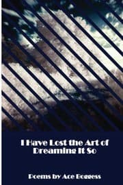 Tapa de I Have Lost the Art of Dreaming It So