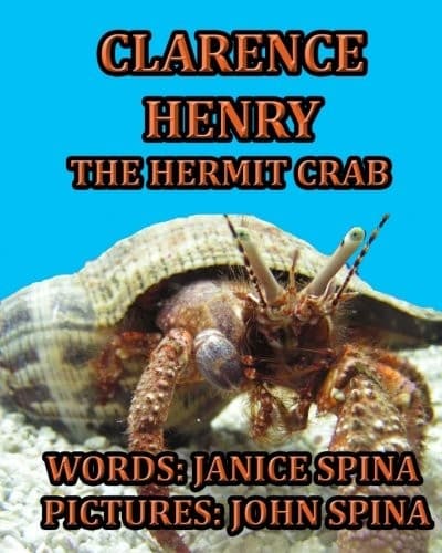 Tapa de Clarence Henry the Hermit Crab