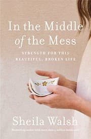 Tapa de In the Middle of the Mess
