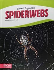 Tapa de Spiderwebs