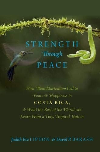 Tapa de Strength Through Peace