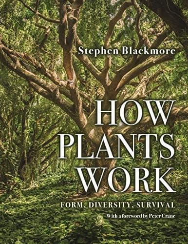 Tapa de How Plants Work