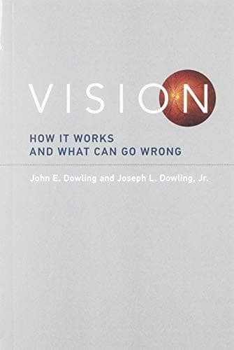 Tapa de Vision