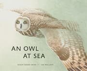 Tapa de An Owl at Sea