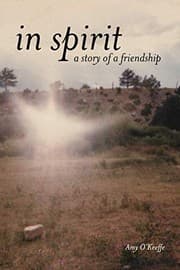 Tapa de In Spirit - A Story of Friendship