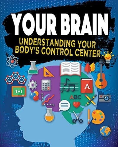 Tapa de Your Brain