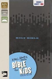 Tapa de KJV, Bible for Kids, Leathersoft, Charcoal
